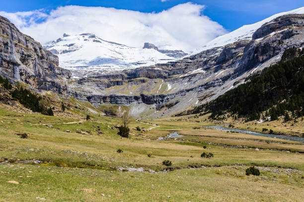 istock Large meadow in Ordesa, Pyrenees, Spain 916033128