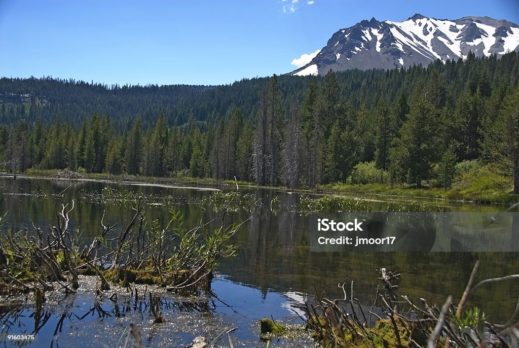 Monte parque nacional Lassen - Royalty-free Acampar Foto de stock