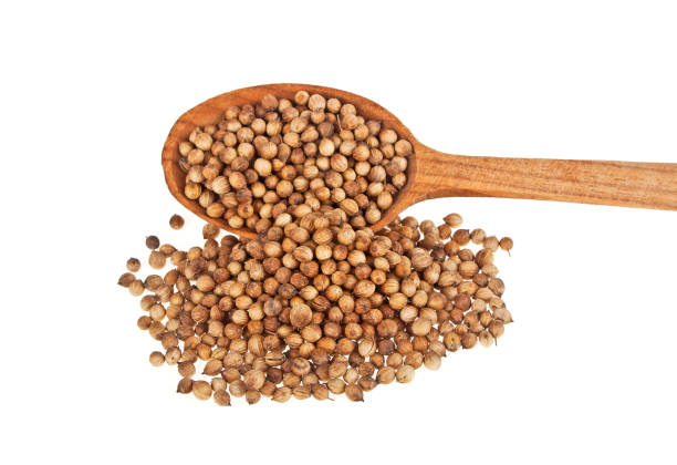istock Coriander seeds in wooden spoon isolated on white background 916036224