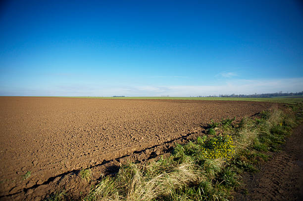 campo de verbas - winter farm vibrant color shadow imagens e fotografias de stock