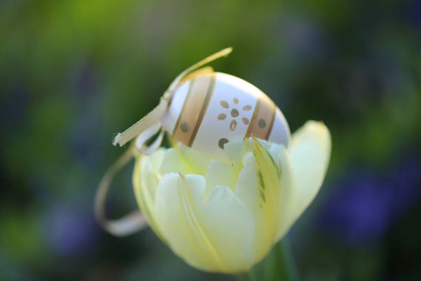 Easter concept. r egg in a flower yellow tulip on a blurred background . Easter mood. Easter spring background