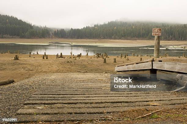 Lancha De La Sequía Foto de stock y más banco de imágenes de Noroeste Pacífico de los Estados Unidos - Noroeste Pacífico de los Estados Unidos, Sequía, Bosque