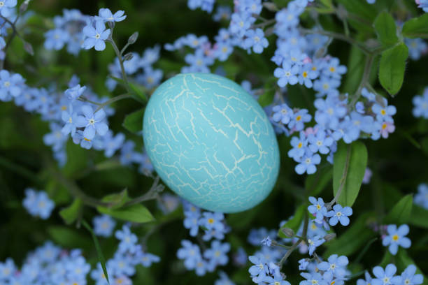 Easter concept.blue easter egg in forget-me-not flowers. gentle easter background