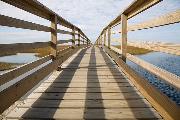 Boardwalk - foto de acervo