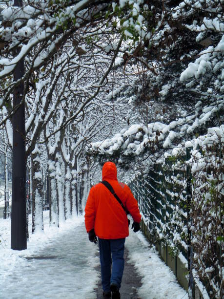 istock PIETON ON SNOWY SIDEWALK ALONG PARK 916044116