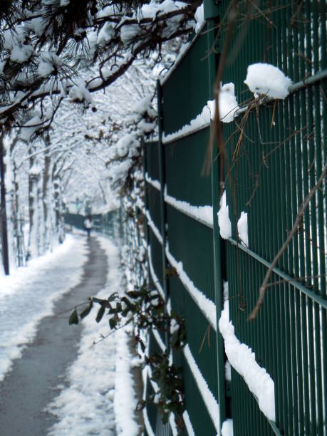 istock SNOWY SIDEWALK ALONG PUBLIC PARK. SNOW-COVERED BRANCHES 916044208