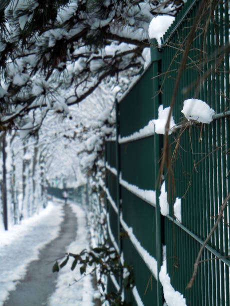 istock SNOWY SIDEWALK ALONG PUBLIC PARK. SNOW-COVERED BRANCHES 916044212