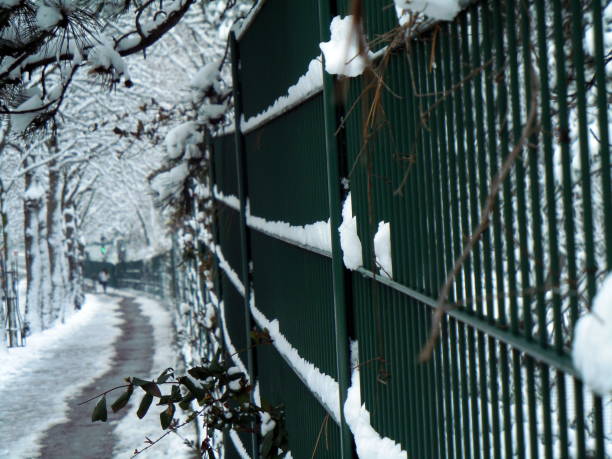 istock SNOWY SIDEWALK ALONG PUBLIC PARK. SNOW-COVERED BRANCHES 916044228
