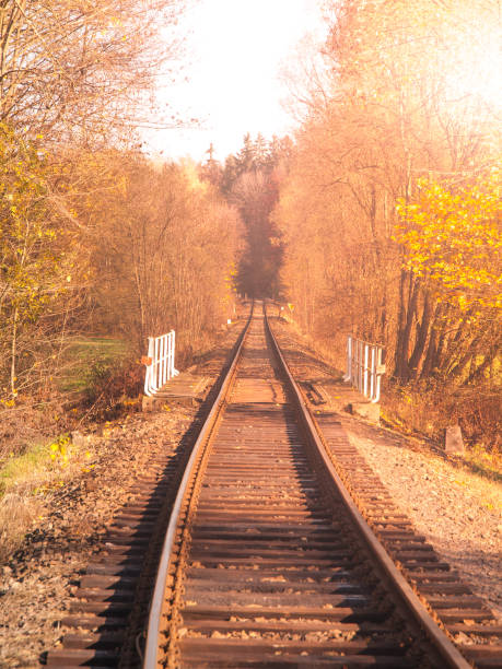 istock Rural railroad track on sunny autumn day 916047334