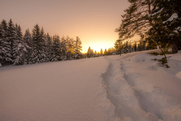 istock Winter snowy landscape 916047668