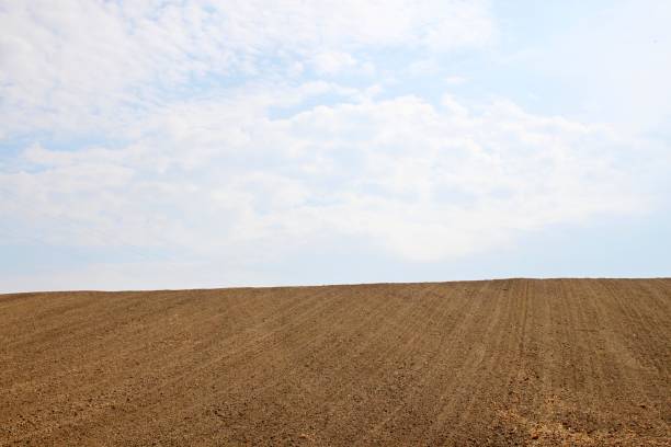 istock Cultivated land on hill 916050020