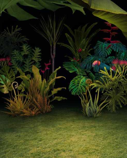 istock Abstract background of night jungle 916056716