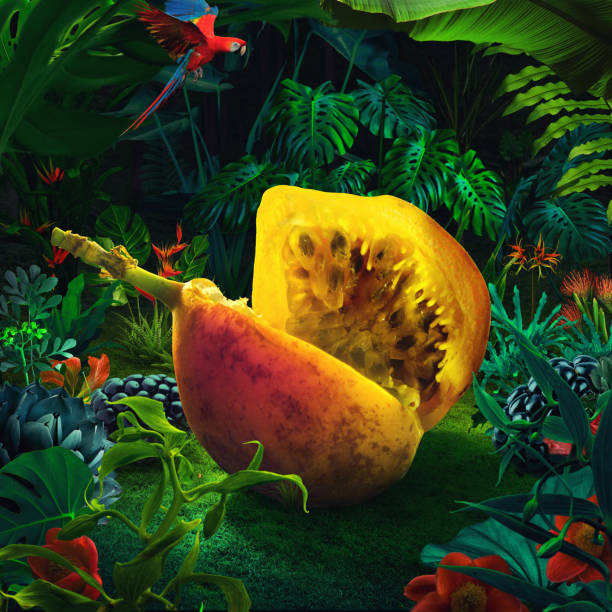 maracujá gigante surreal - tropical fruit - fotografias e filmes do acervo