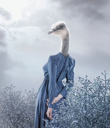 Surreal portrait of ostrich girl