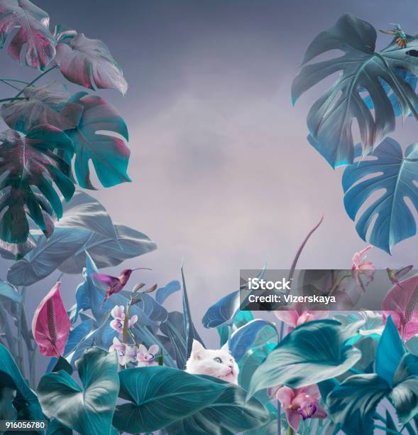 Surreal Tropical Background Stock Photo - Download Image Now - Flower, Backgrounds, Surreal