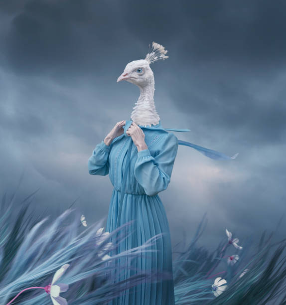 Surreal portrait of white peacock