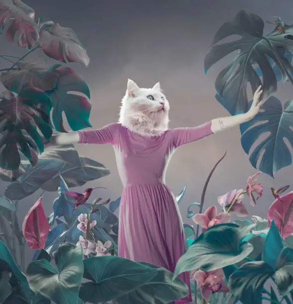 Photo of Surreal portrait of white cat