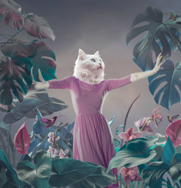 surrealistyczny portret białego kota - fancy costume zdjęcia i obrazy z banku zdjęć