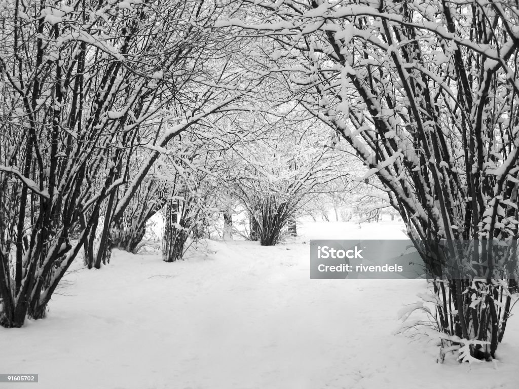 Ruhige Landschaft winter park - Lizenzfrei Biegung Stock-Foto