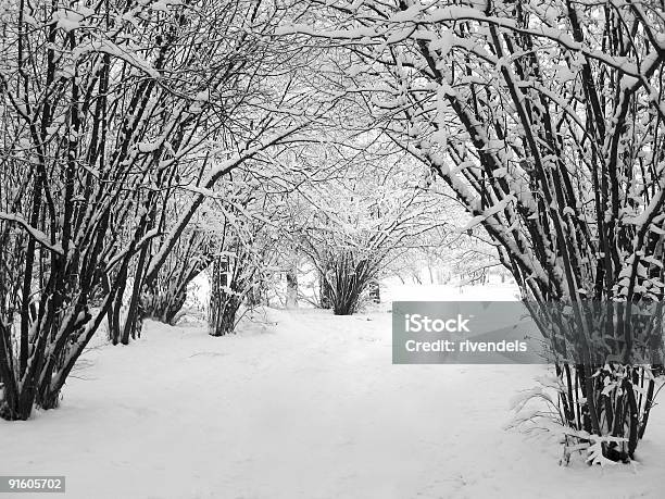 Ruhige Landschaft Winter Park Stockfoto und mehr Bilder von Biegung - Biegung, Einspurige Straße, Winter