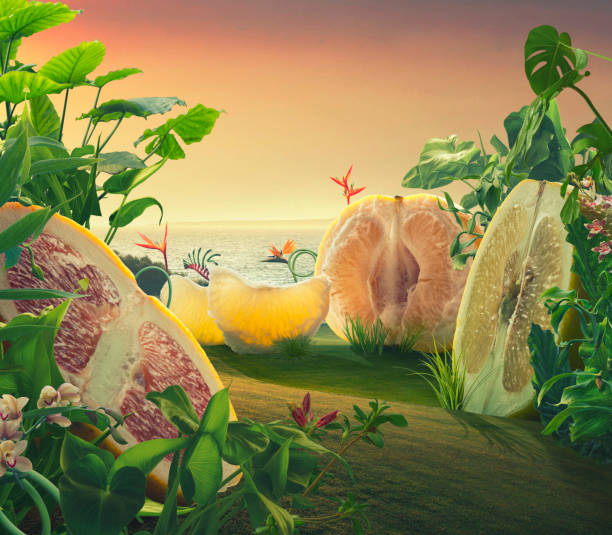 surrealistas pomelos gigantes en un campo - surrealismo fotografías e imágenes de stock