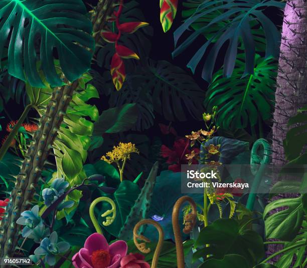 Colorful Night Jungle Background Stock Photo - Download Image Now - Rainforest, Backgrounds, Tropical Climate