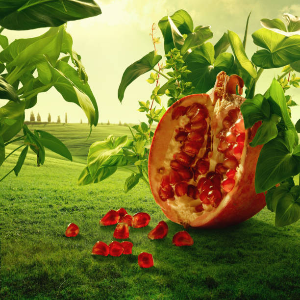 Surreal giant pomegranate in nature