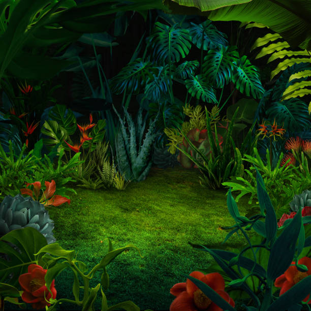 абстрактный фон ночных джунглей - сюрреалистический стоковые фото и изображения