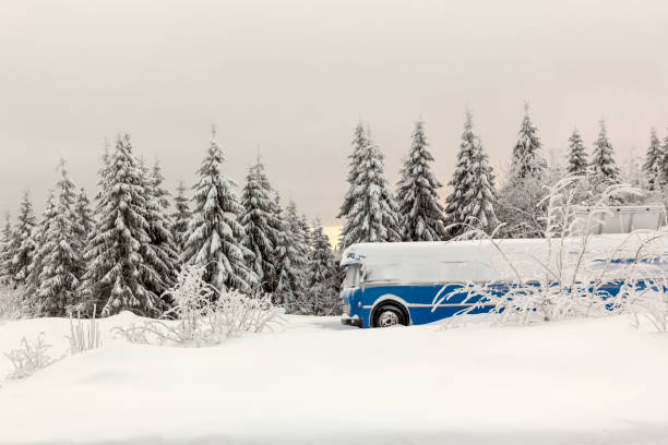 istock Blue bus parked in a snowy landscape. 916060342