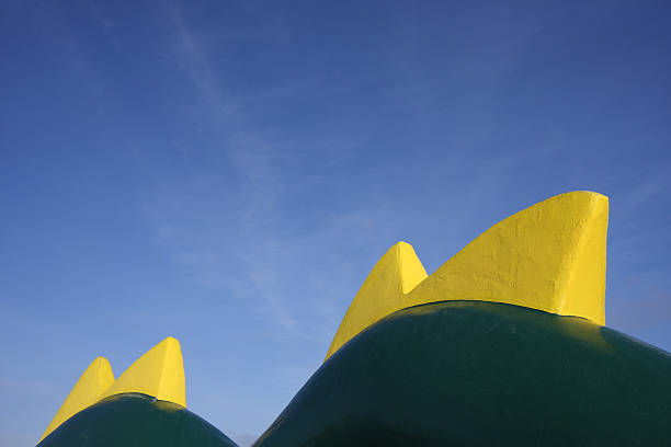 istock Yellow Sea Monster Fins 91606083