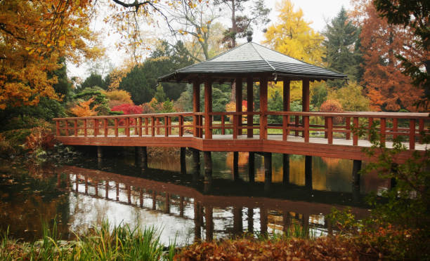 istock Beautiful autumn park in Wroclaw, Poland 916063676