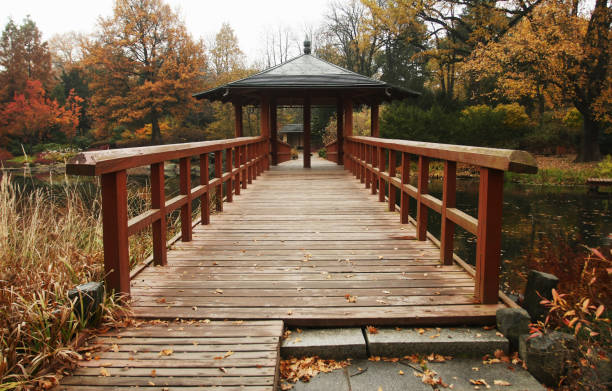 istock Beautiful autumn park in Wroclaw, Poland 916064210