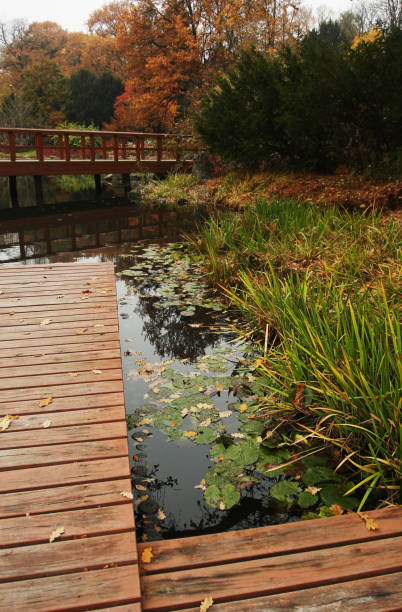 istock Beautiful autumn park in Wroclaw, Poland 916064542