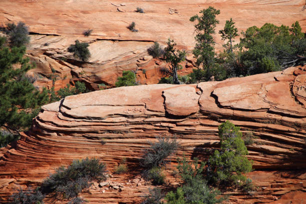 istock Zion National Park, Utah, USA 916065340