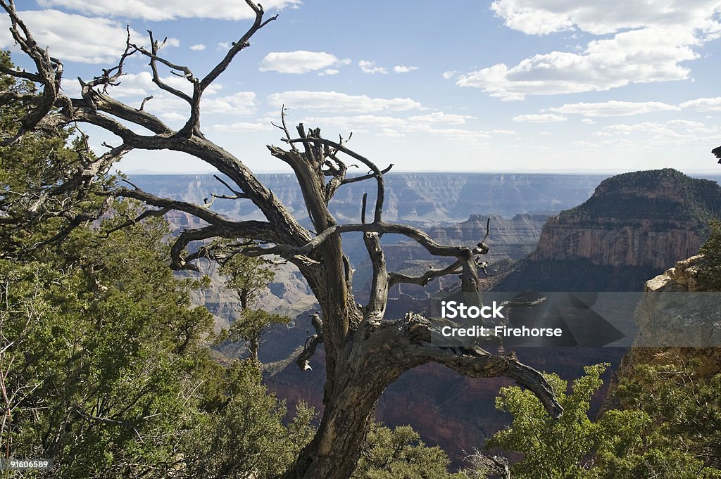Grand Canyon  Aerial View Stock Photo