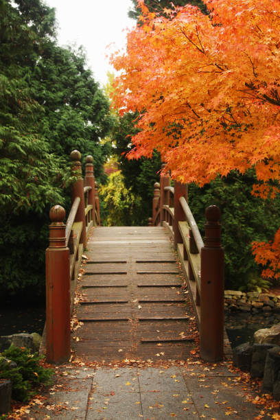 istock Beautiful autumn park in Wroclaw, Poland 916067456