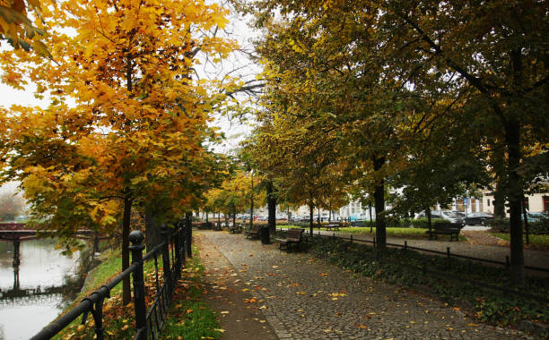 istock Beautiful autumn park in Wroclaw, Poland 916067826