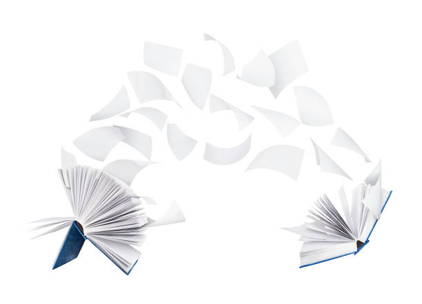 istock two blank books with flying pages isolated on white background 916067930