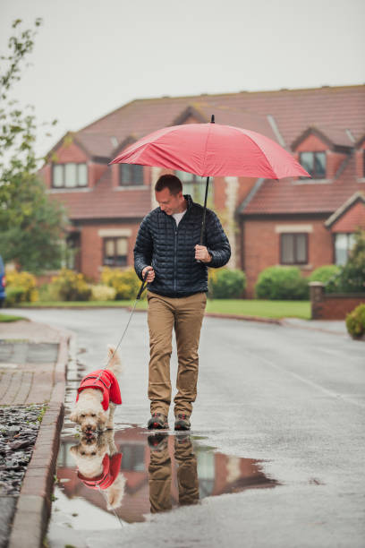 Mid Adult Man Walking Dog