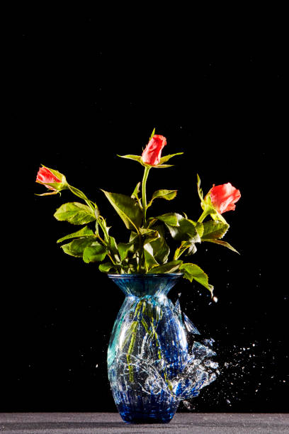 Dead Roses in red vase on white
