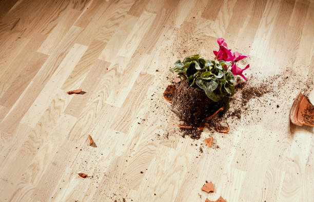 istock Flowerpot falls on the floor 916068398