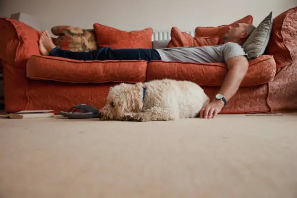 A mid adult man lies on the sofa whilst his dog lies on the floor next to him.