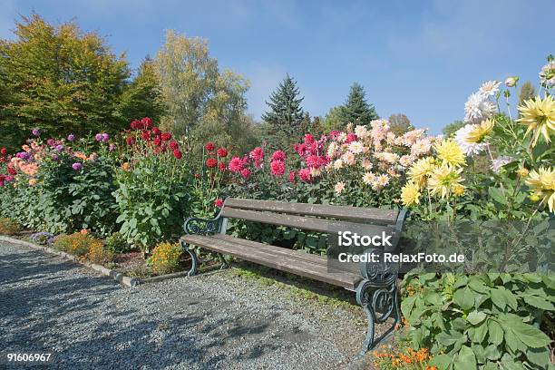 Park Bench Tra Multicolore Fiori Dalia - Fotografie stock e altre immagini di Aiuola - Aiuola, Ambientazione esterna, Autunno