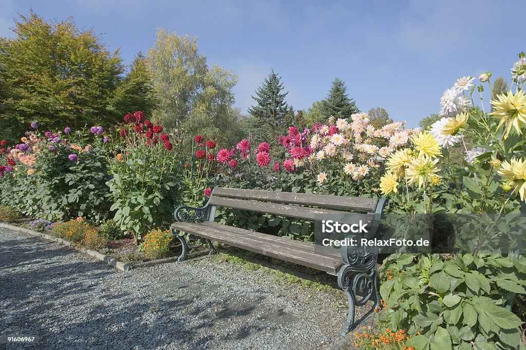 Banco de Parque entre Dália colorido de flores (XXL - Foto de stock de Amarelo royalty-free