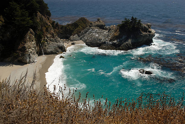 istock Landscape at Julia Pfeiffer Burns State Park 91607771