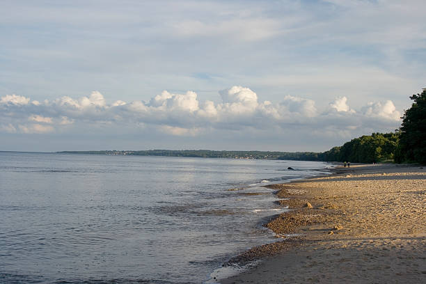 istock Beach of Stenshuvud 91607874
