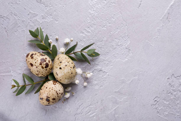 istock Easter spring decorative composition  with easter quail eggs and leaf sprigs of eucalyptus. On a gray concrete background with place for text. 916088512
