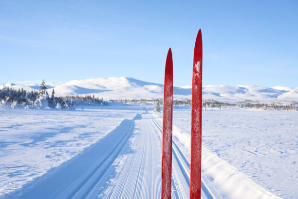 산, synnfjell oppland 카운티 노르웨이에서 크로스컨트리 스키 - powder snow ski ski track track 뉴스 사진 이미지
