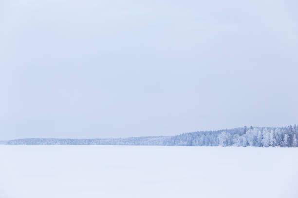 istock Winter cloudy day lake landscape 916092052