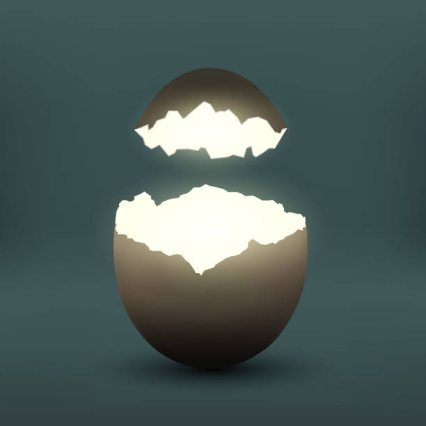 Broken chicken egg Broken chicken egg. Eggshell with light inside. Stock vector illustration. incubator stock illustrations